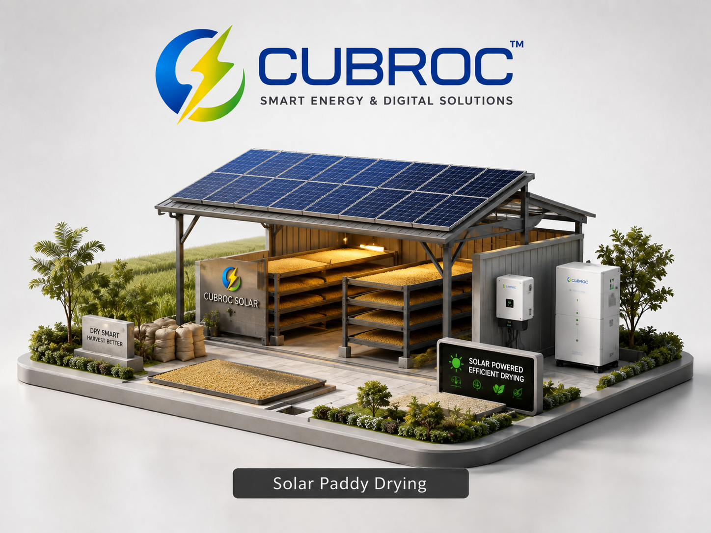Solar Paddy Drying